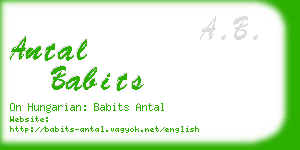 antal babits business card